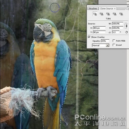 Photoshop CS3精彩体验之七:轻松克隆-新Clone Sauce_亿码酷站___亿码酷站平面设计教程插图7