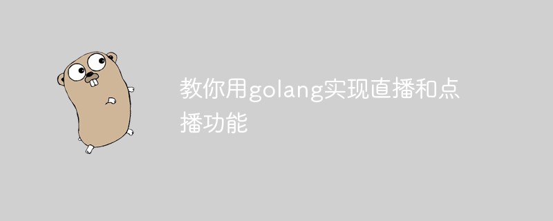 教你用golang实现直播和点播功能_亿码酷站_编程开发技术教程插图