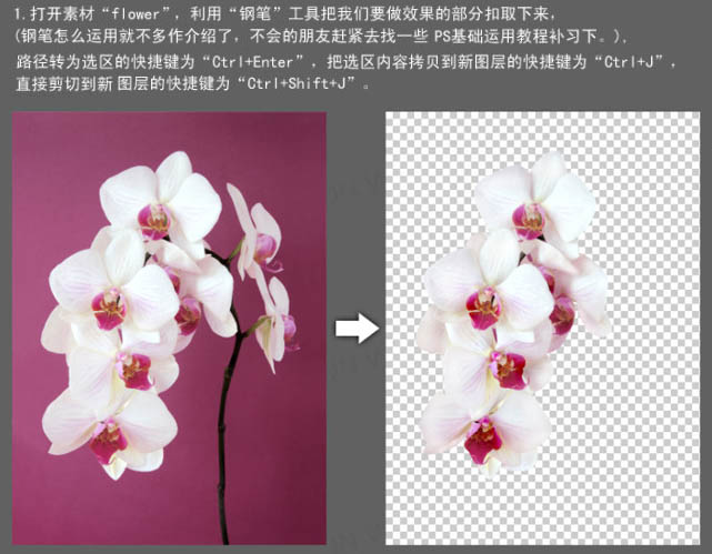 Photoshop合成动感的牛奶花朵_亿码酷站___亿码酷站平面设计教程插图2