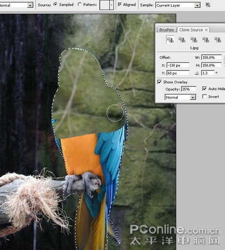 Photoshop CS3精彩体验之七:轻松克隆-新Clone Sauce_亿码酷站___亿码酷站平面设计教程插图8