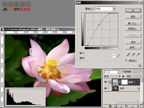 让照片中的花朵更加通透艳丽_亿码酷站___亿码酷站平面设计教程插图1