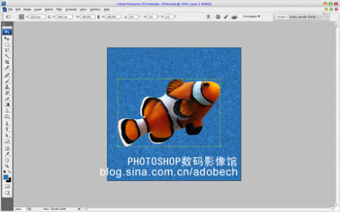 Photoshop快速制作淡水彩画效果_亿码酷站___亿码酷站平面设计教程插图8