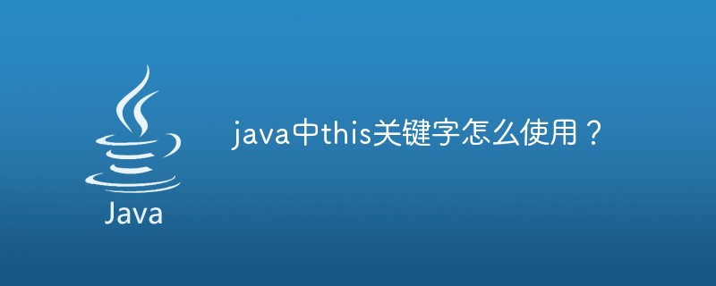 java中this关键字怎么使用？_亿码酷站_编程开发技术教程插图