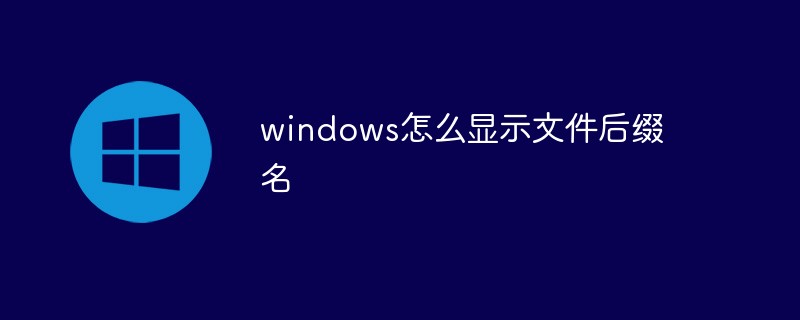windows怎么显示文件后缀名插图