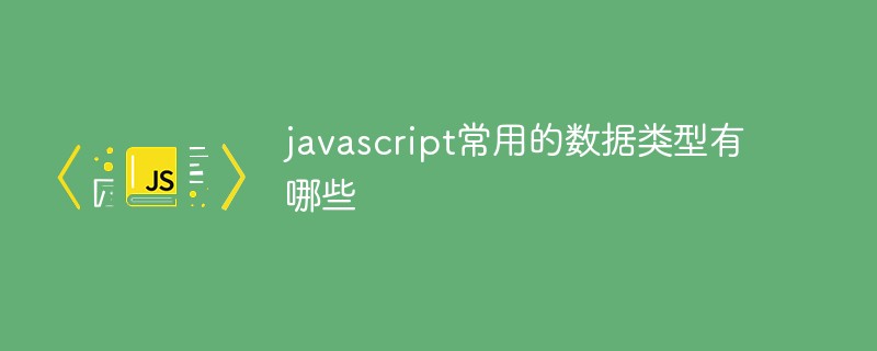 javascript常用的数据类型有哪些插图