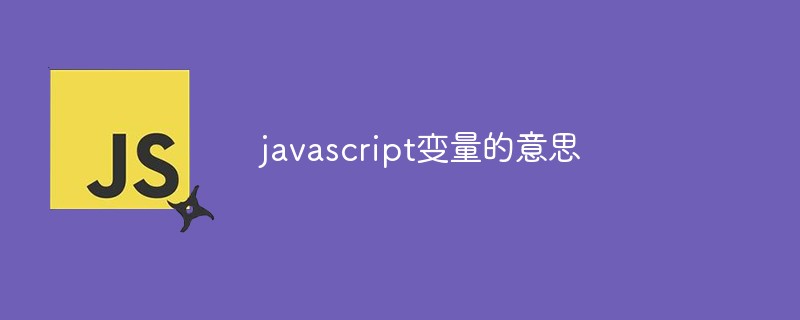 javascript变量的意思插图
