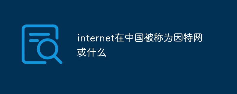 internet在中国被称为因特网或什么插图
