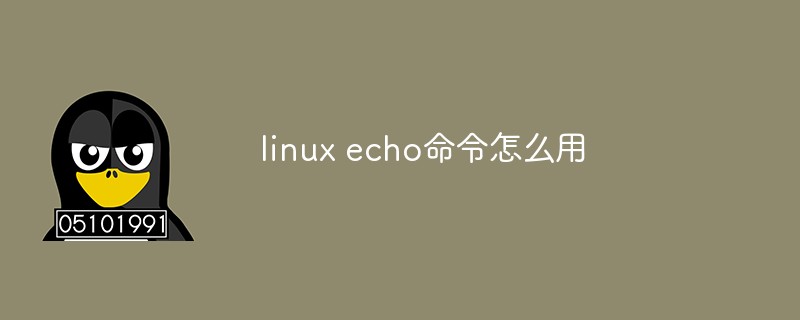 linux echo命令怎么用插图