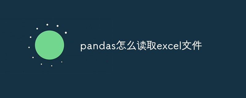 pandas怎么读取excel文件插图