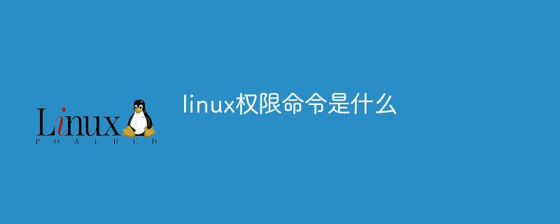 linux权限命令是什么插图