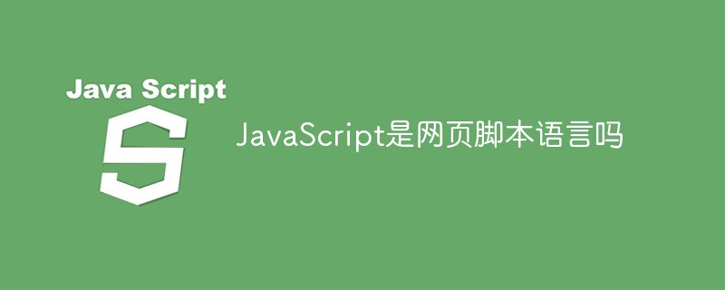 JavaScript是网页脚本语言吗插图