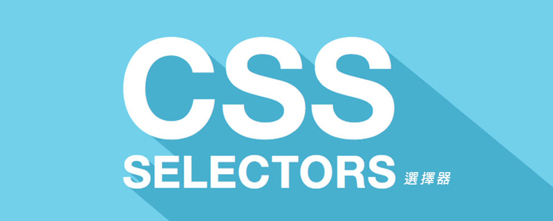 深入了解CSS中的选择器插图