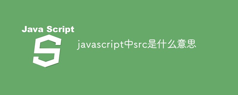javascript中src是什么意思插图