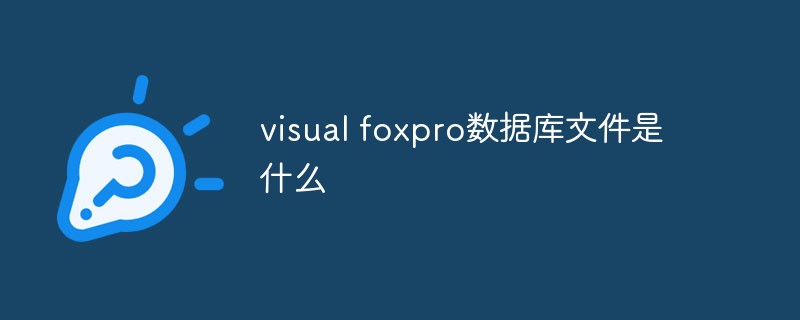 visual foxpro数据库文件是什么插图