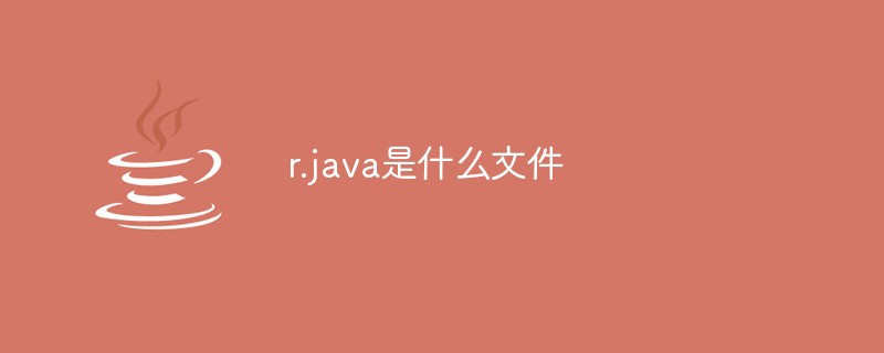 r.java是什么文件插图