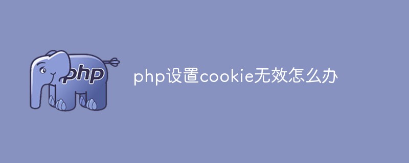 php设置cookie无效怎么办插图