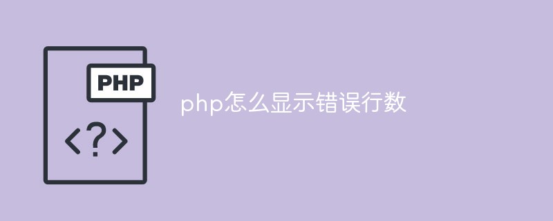 php怎么显示错误行数插图