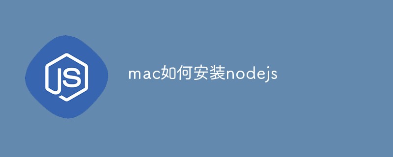 mac如何安装nodejs插图