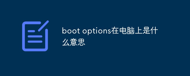 boot options在电脑上是什么意思插图