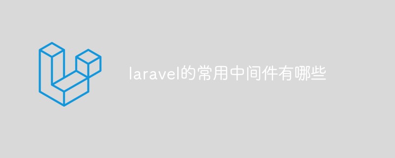 laravel的常用中间件有哪些插图