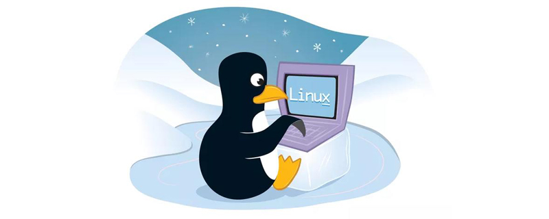 浅析Linux中服务器代码部署篇（分享）插图