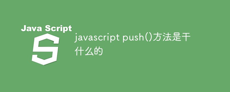 javascript push()方法是干什么的插图