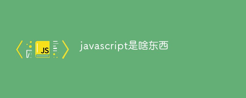 javascript是啥东西插图