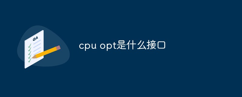 cpu opt是什么接口插图