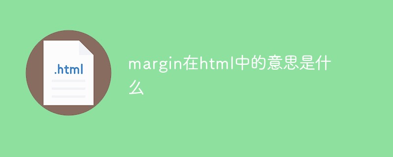 margin在html中的意思是什么插图