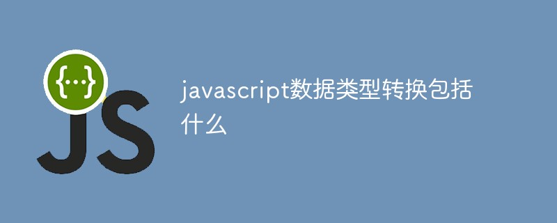 javascript数据类型转换包括什么插图