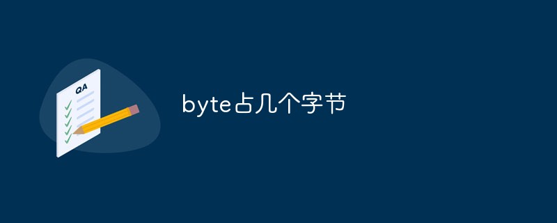 byte占几个字节插图
