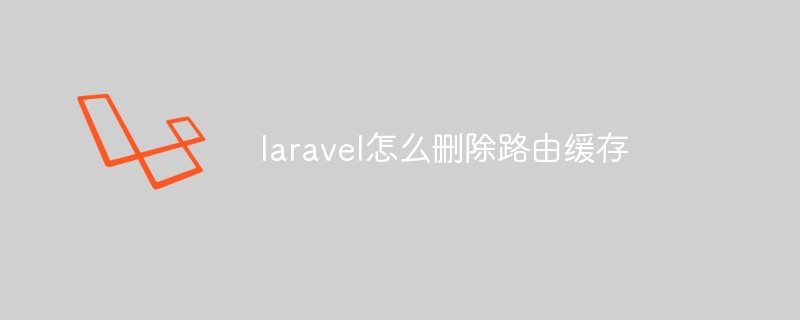 laravel怎么删除路由缓存插图
