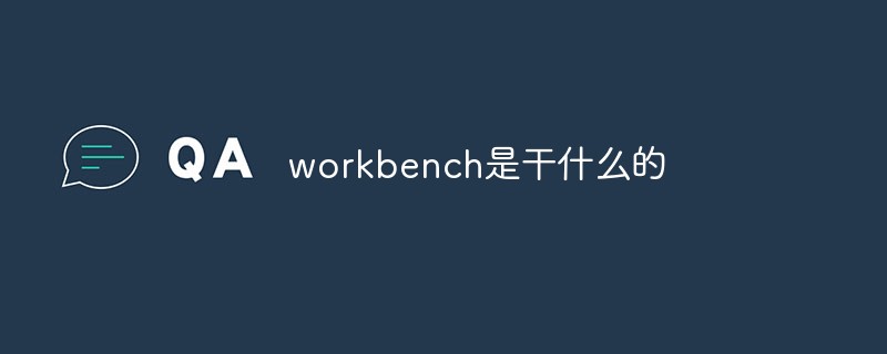 workbench是干什么的插图