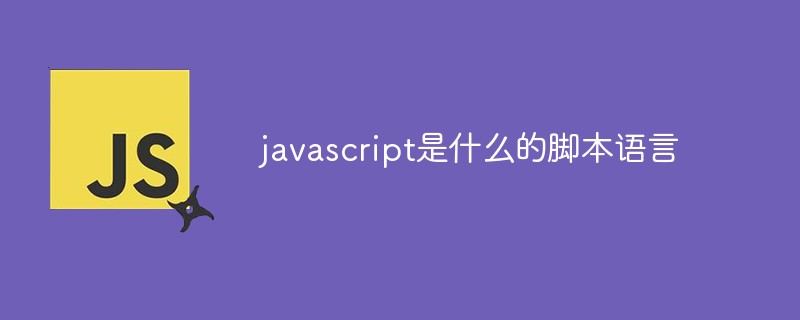 javascript是什么的脚本语言插图
