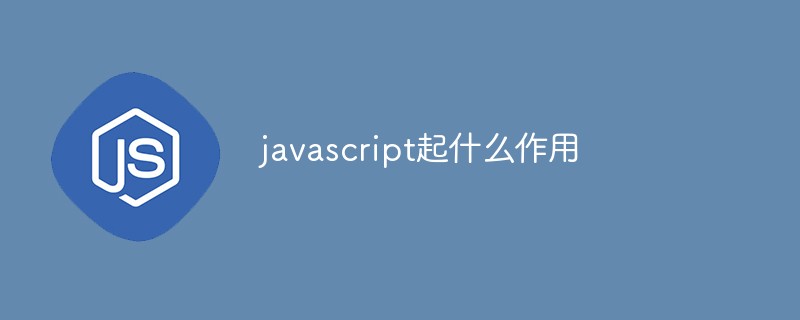 javascript起什么作用插图