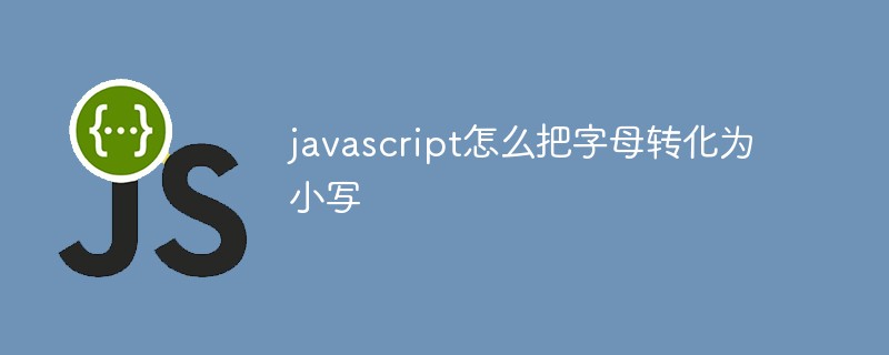 javascript怎么把字母转化为小写插图