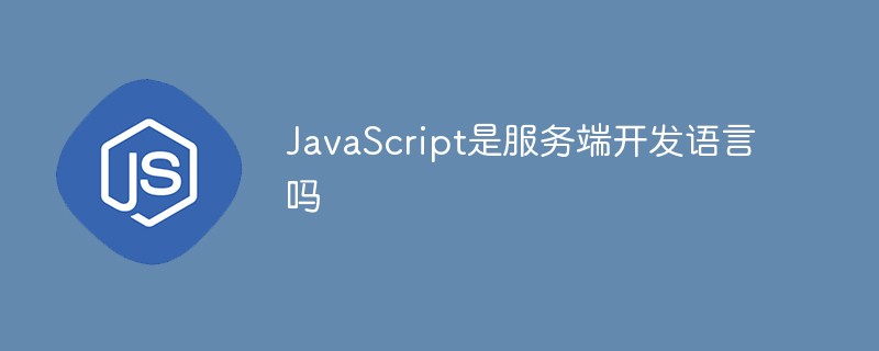 JavaScript是服务端开发语言吗插图