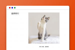 AI+PS画可爱的招财猫插画Banner_亿码酷站___亿码酷站ai教程