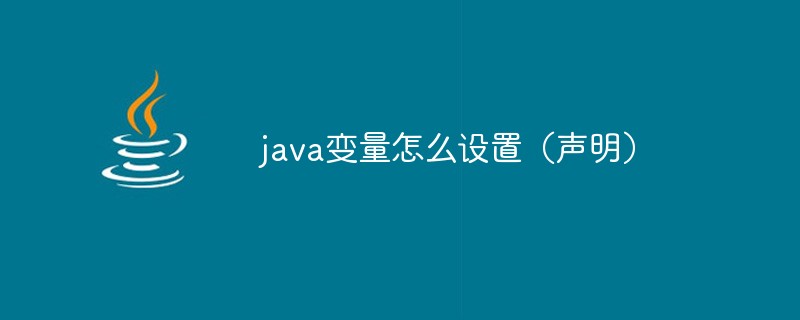 java变量怎么设置（声明）