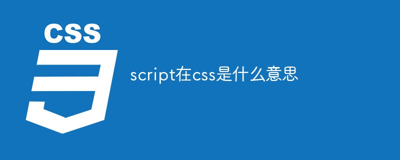 script在css是什么意思