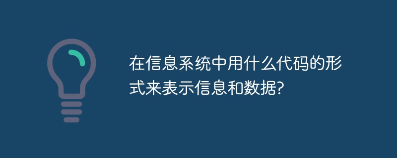 在信息系统中用什么代码的形式来表示信息和数据?