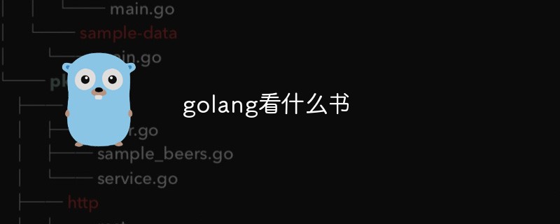golang看什么书