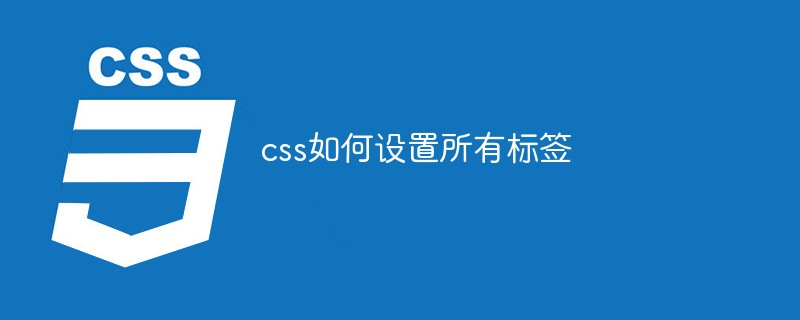 css如何设置所有标签