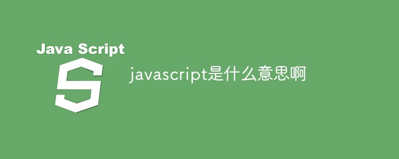 javascript是什么意思啊