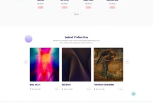 自适应可封装APP英文版NFT数字藏品交易平台源码下载_加密货币支付_含安装文档插图1