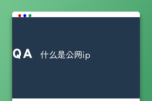 什么是公网ip