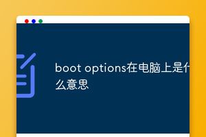 boot options在电脑上是什么意思