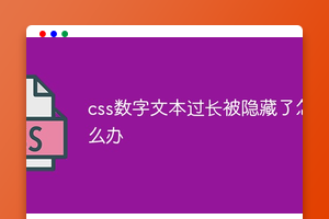 css数字文本过长被隐藏了怎么办