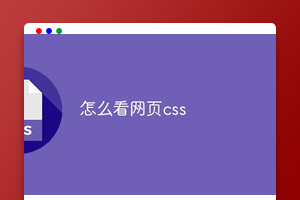 怎么看网页css