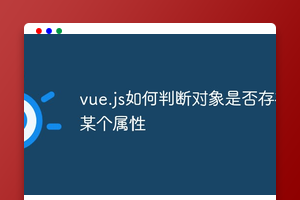 vue.js如何判断对象是否存在某个属性